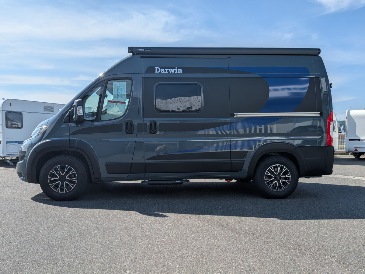 D.V.D ダーウィン D5 ハイエースからDUCATOへ・・・。進化を続けるDarwinシリーズ最新車両!の画像