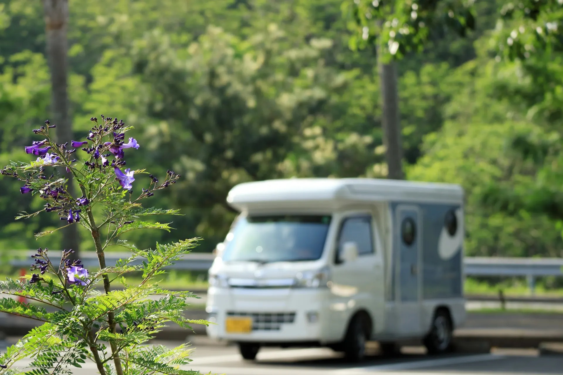キャンピングカーでソロキャンプ:最適な車種とは?