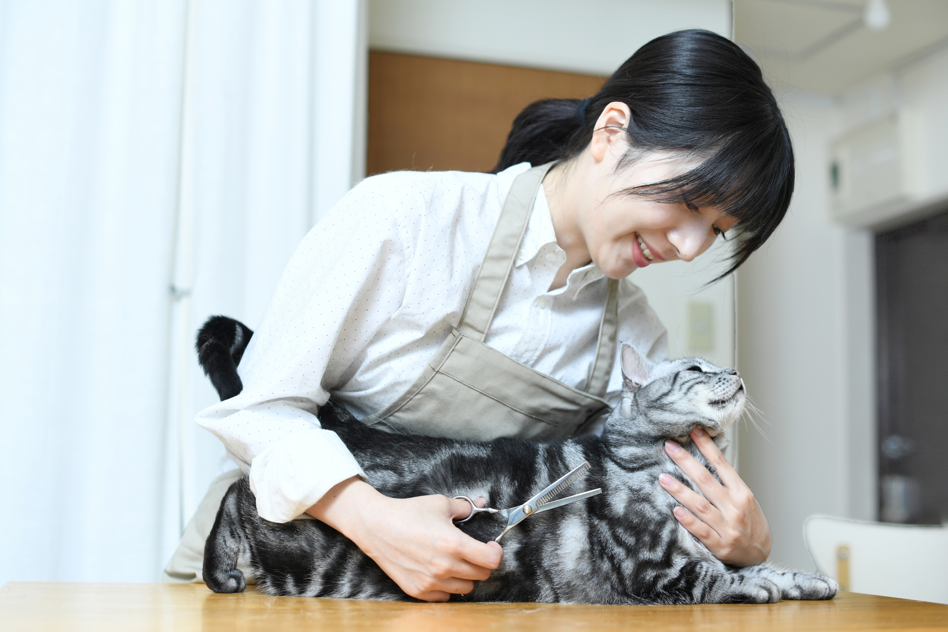 猫とのキャンピングカー旅では体調不良や脱走に気をつけよう